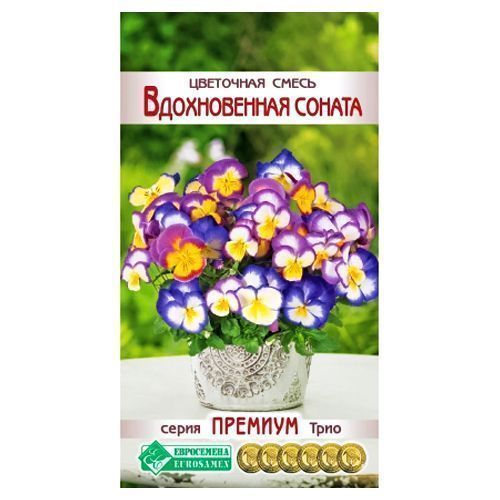 ������ ������ ��������� ����� ������������ ������, ����� ������� ����������   ����