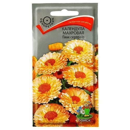 ������ ������ ��������� �������� ���� �������� �����   ����