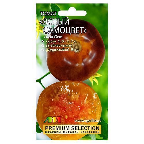 ������ ������ ����� ����� �������� ����������� ������ �.�.   ����