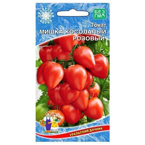 ������ ������ ����� ����� ��������� ������� ��������� ������   ����