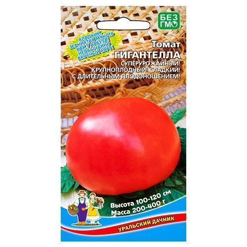 ������ ������ ����� ���������� ��������� ������   ����