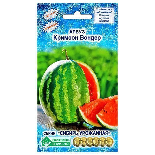 ������ ������ ����� ������� ������ ����������   ����