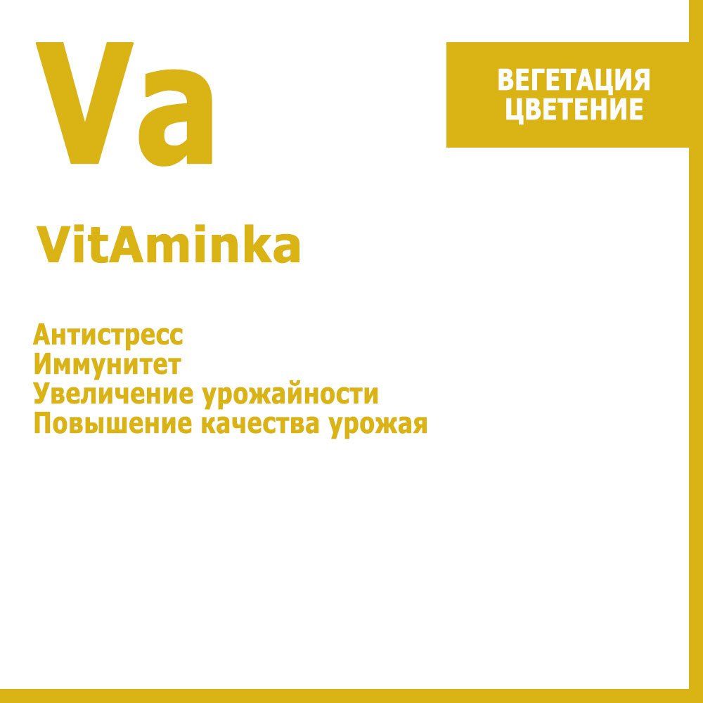 ������ ������ VitAminka, ���������-�������������� ���������� 10 ��   ����