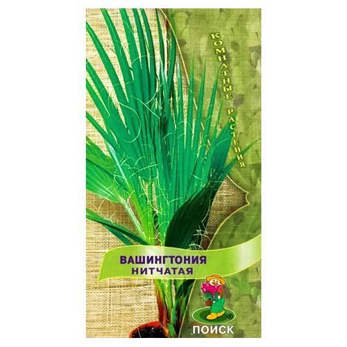 ������ ������ ����������� �������� �����   ����