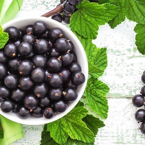 ������ ������ ��������� ������ ����������� �������   ����