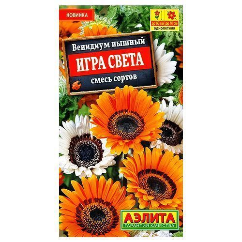 ������ ������ �������� ���� �����, ����� ������� ������   ����