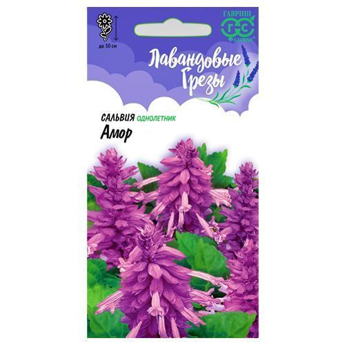 ������ ������ ������� ���� ������   ����