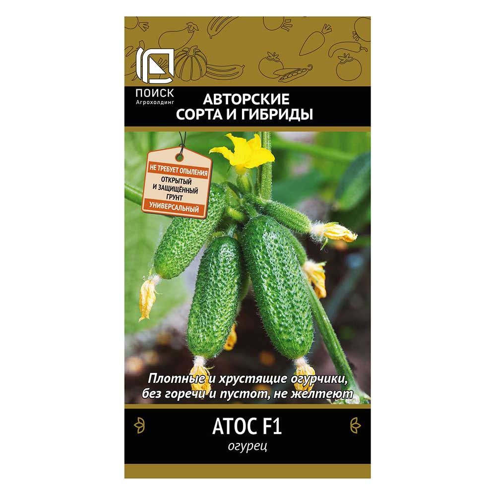 ������ ������ ������ ���� F1 �����   ����