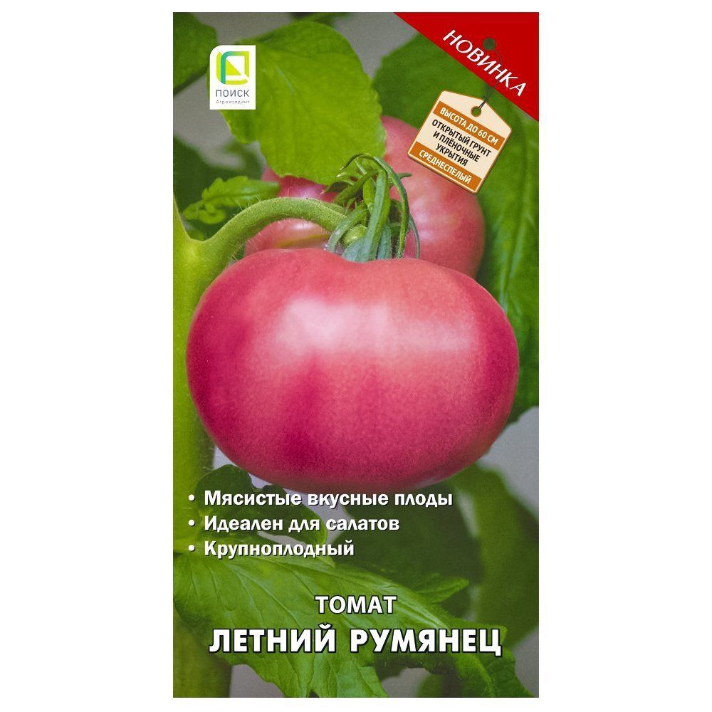 ������ ������ ����� ������ ������� �����   ����