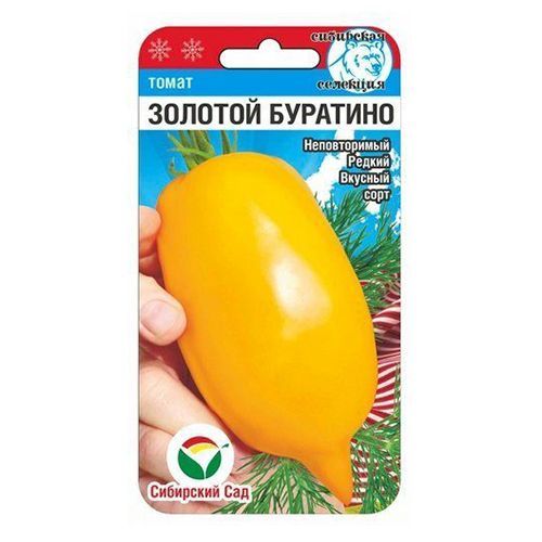 ������ ������ ����� ������� �������� ��������� ���   ����