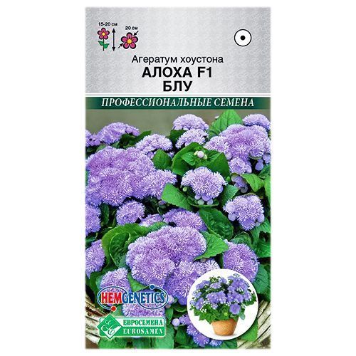 ������ ������ �������� �������� ����� ��� F1 ����������   ����