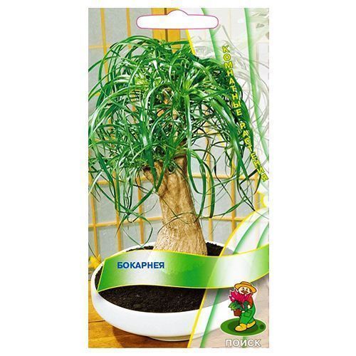 ������ ������ �������� �����   ����