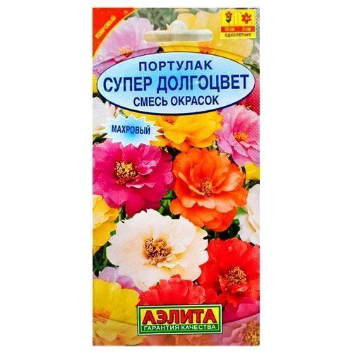 ������ ������ �������� �������� ����� ���������, ����� ������� ������   ����