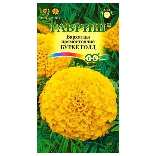 ������ ������ �������� ������������ ����� ���� ������   ����