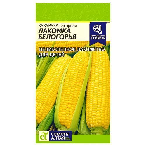 ������ ������ �������� ������� ��������� ������ �����   ����