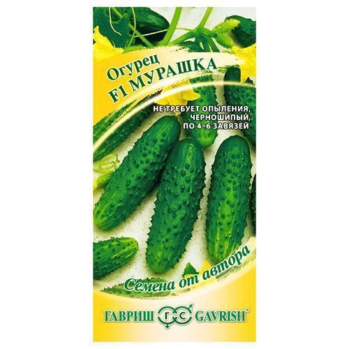 ������ ������ ������ �������� ������� F1 ������   ����