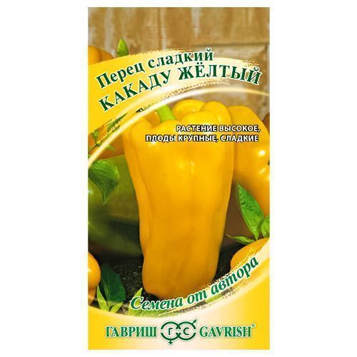 ������ ������ ����� ������� ������ ������ ������   ����