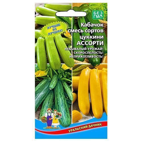 ������ ������ ������� �������, ����� ������ ��������� ������   ����