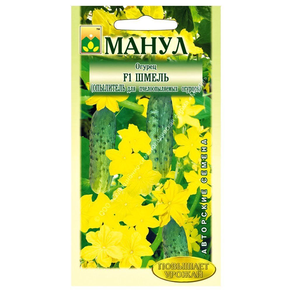 ������ ������ ������ ��������� ����� F1 �����   ����