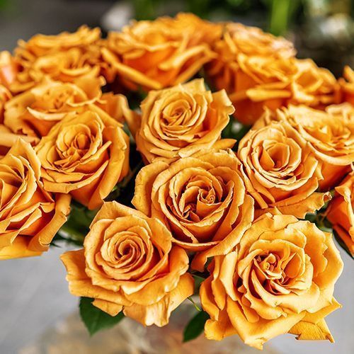 ������ ������ ���� �����-��������� �����   ����