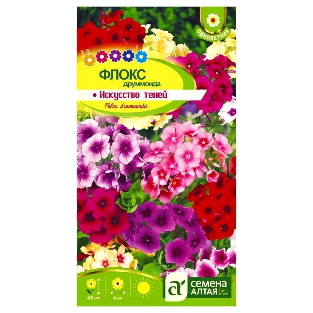 ������ ������ ����� ��������� ��������� �����, ����� ������� ������ �����   ����