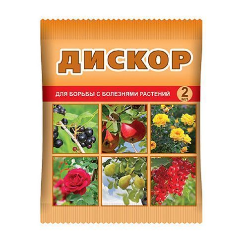 ������ ������ ������, �������� �� �������� �������� 2 ��   ����