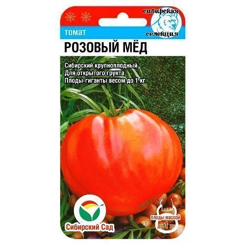 ������ ������ ����� ������� ��� ��������� ���   ����