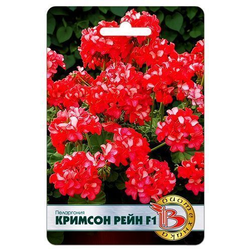 ������ ������ ���������� (������) ������� ���� F1 ����������   ����