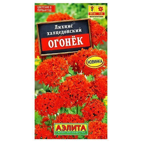 ������ ������ ������ ������ ������   ����