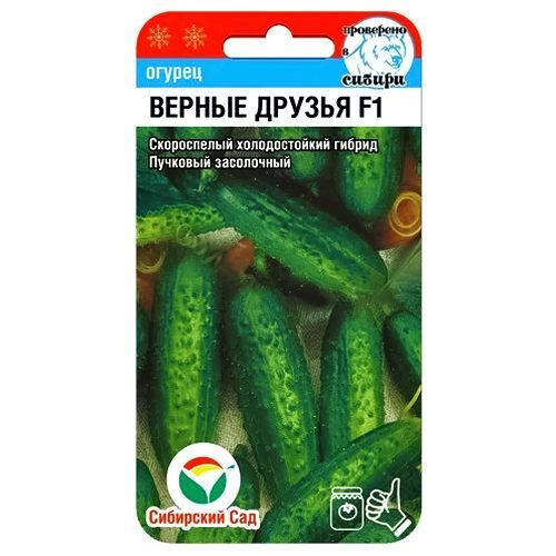 ������ ������ ������ ������ ������ F1 ��������� ���   ����