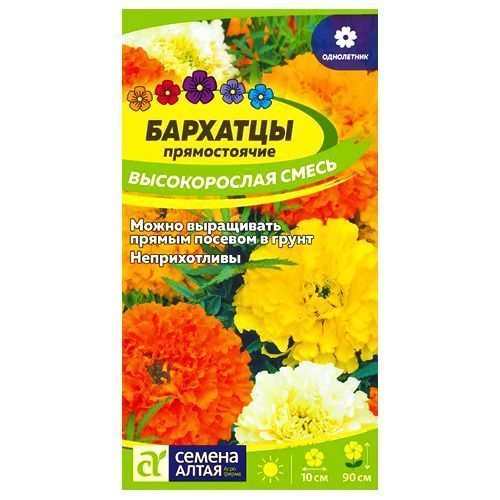 ������ ������ �������� ������������ ����� ������ �����   ����