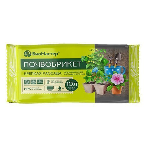 ������ ������ ��������� ����������� ������� ������� 10 �   ����