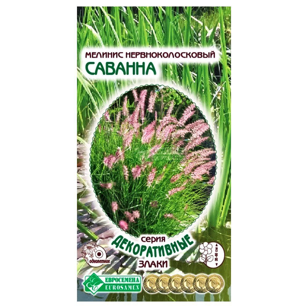 ������ ������ ������� ������� ����������   ����