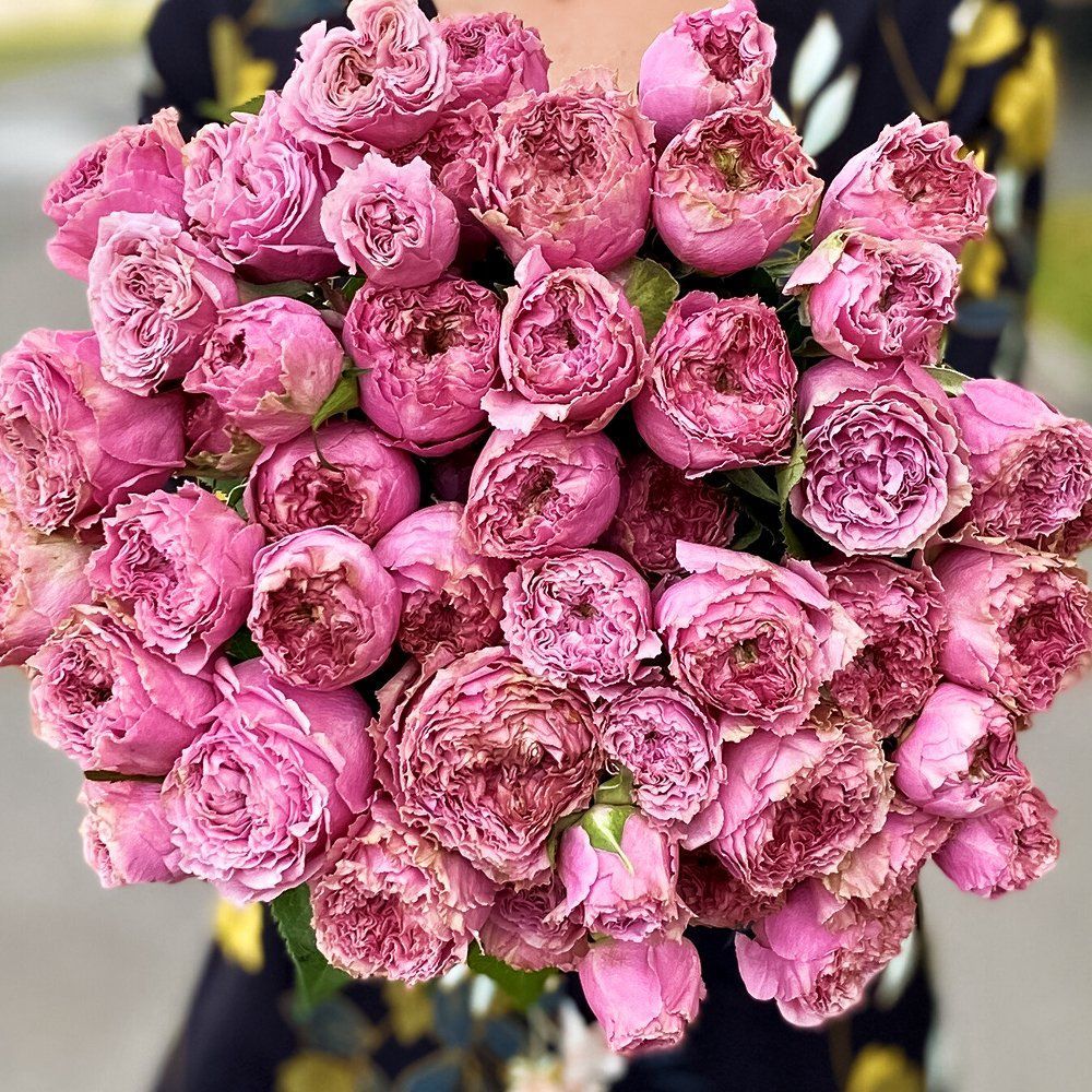 ������ ������ ���� �����-��������� ������� ����� �������   ����