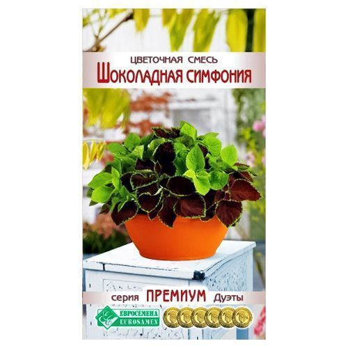 ������ ������ ��������� ����� ���������� ��������, ����� ������� ����������   ����