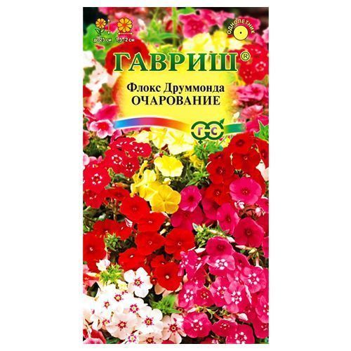 ������ ������ ����� ��������� ����������, ����� ������� ������   ����