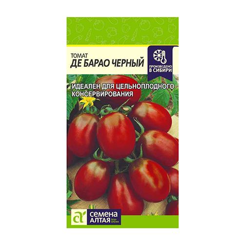 ������ ������ ����� �� ����� ������ ������ �����   ����