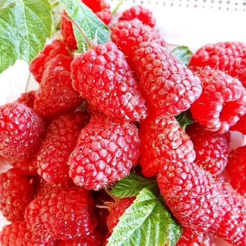 ������ ������ ������ ������������� ������� ��������   ����