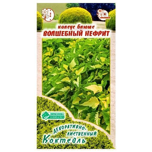 ������ ������ ������ ����� ��������� ������ ����������   ����