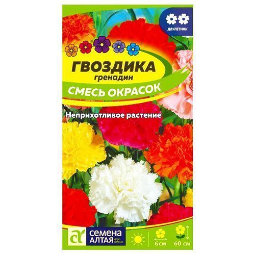 ������ ������ �������� ��������, ����� ������� ������ �����   ����