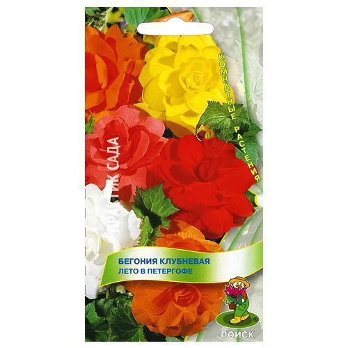 ������ ������ ������� ��������� ���� � ���������, ����� ������� �����   ����