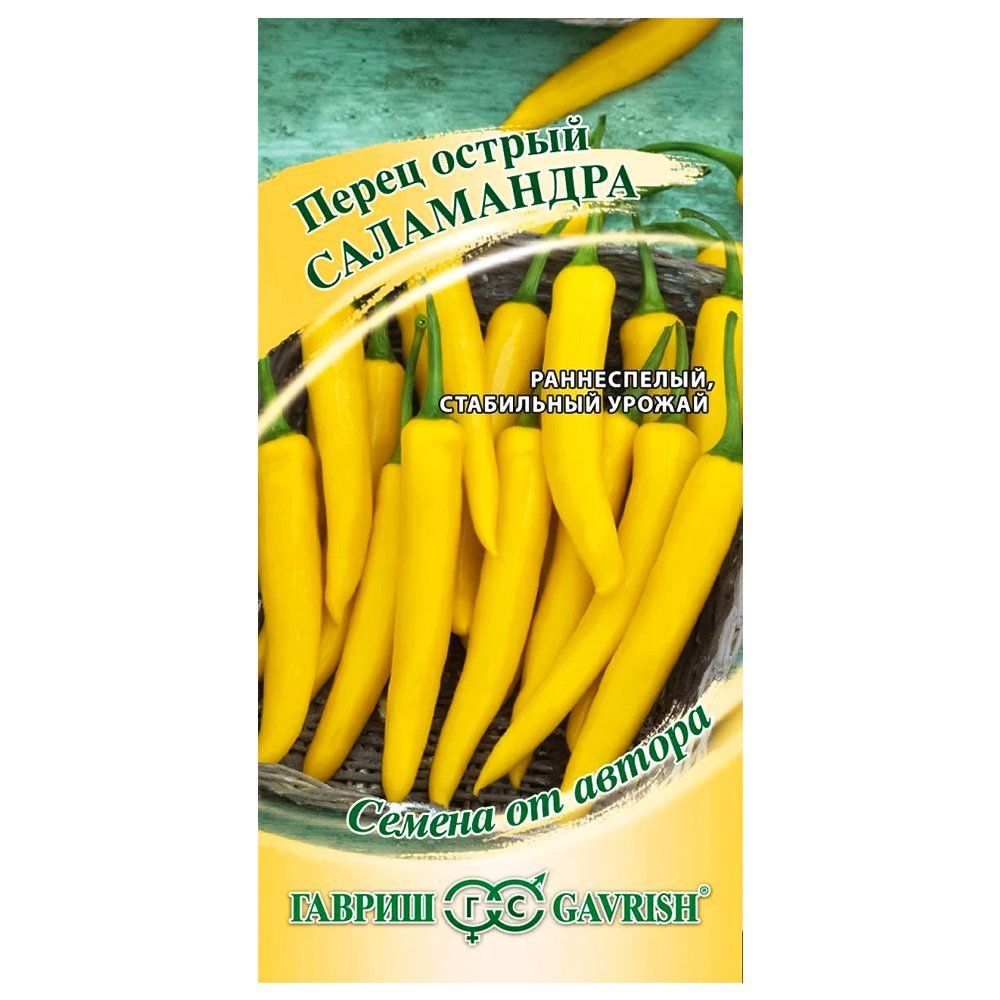 ������ ������ ����� ������ ���������� ������   ����