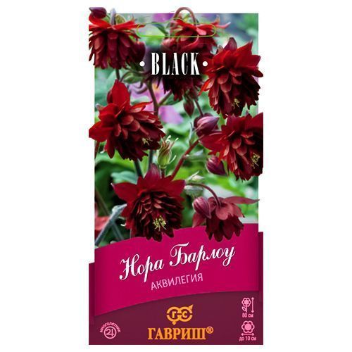 ������ ������ ��������� ���� ������ ������   ����