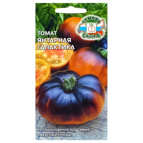 ������ ������ ����� �������� ��������� �����   ����