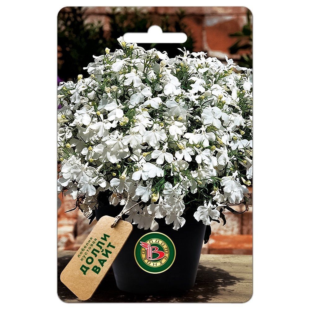 ������ ������ ������� �������� ����� ���� ����������   ����