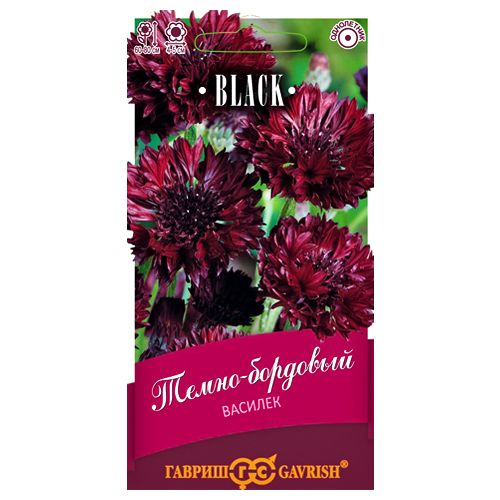 ������ ������ ������� �����-�������� ������   ����