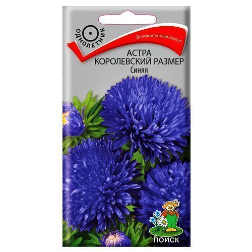 ������ ������ ����� ����������� ������ ����� �����   ����