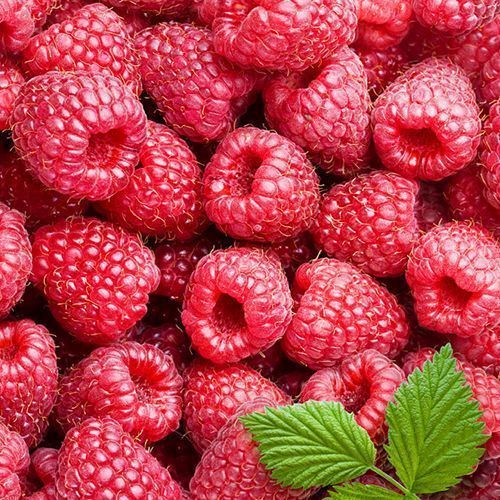 ������ ������ ������ ������������ ��������   ����