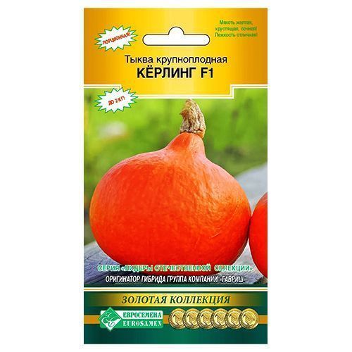 ������ ������ ����� ������� F1 ����������   ����