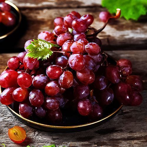 ������ ������ �������� ����������   ����